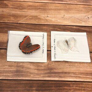 Set Of 2 Butterfly Specimens For Collection, CRAFTING, & Decoration